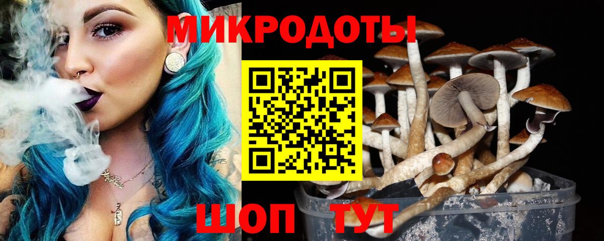 Псилоцибиновые грибы мухоморы Петропавловск-Камчатский