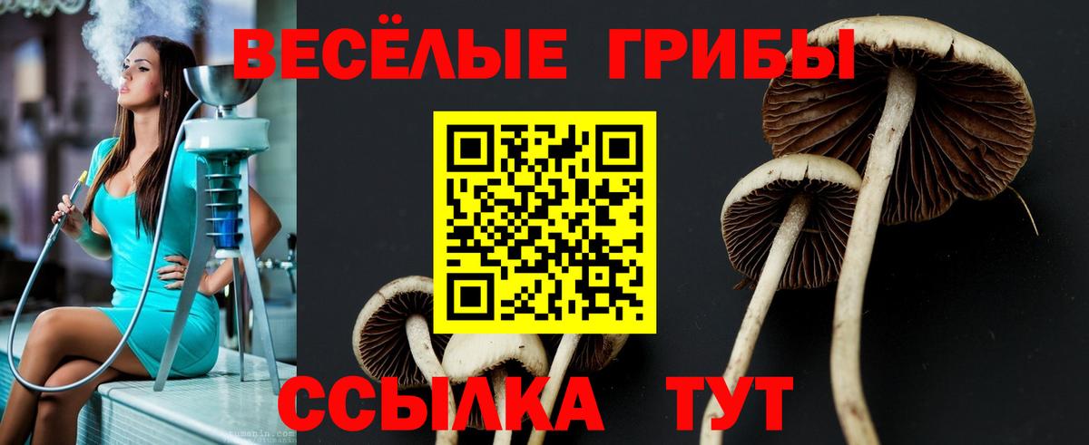 Петропавловск-Камчатский  Псилоцибиновые грибы мухоморы  Вход с VPN  Галлюциногенные грибы мицелий 